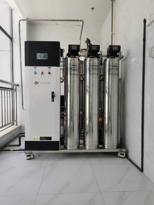 Harga yang pantas 10L/Hr 20L/Hr Sistem reverse osmosis komersial Filtrasi air pertanian on line